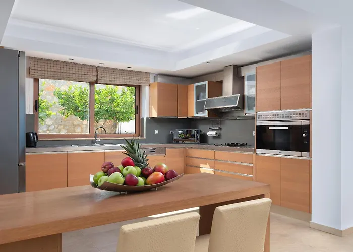 Vitzi Vista * Vlicha